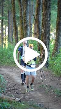 BIB:  <button type="button" onclick="openModal(27340207)" class="btn btn-primary btn-sm float-right" data-toggle="modal" data-target=".modal-high-quality">
                <i class="fa fa-download"></i> Download
                </button>